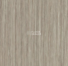 Кварцвиниловые полы Forbo Allura Click 61253CL5 oyster seagrass фото 1 | FLOORDEALER